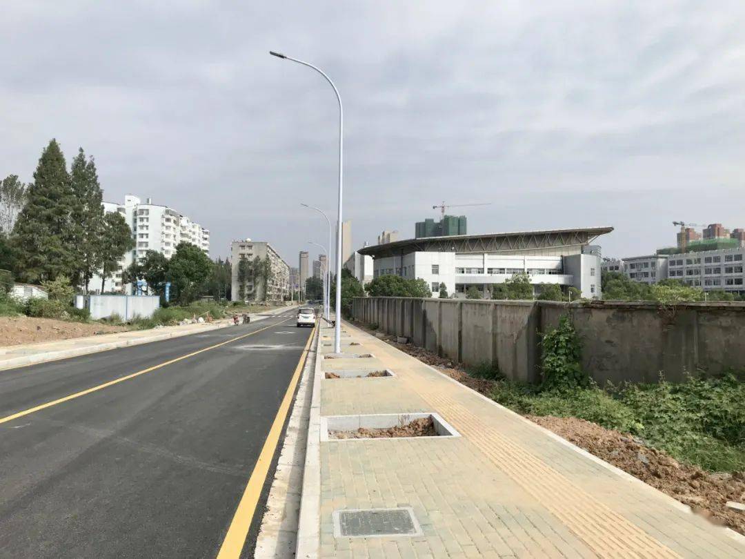 新武金堤路初体验畅快还有这些道路好消息