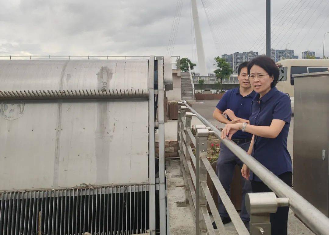 同日下午,区委副书记,代区长叶枝利带队检查防汛防台工作.