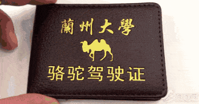 显然是没有的,但是"骆驼驾驶证"这个真的有!