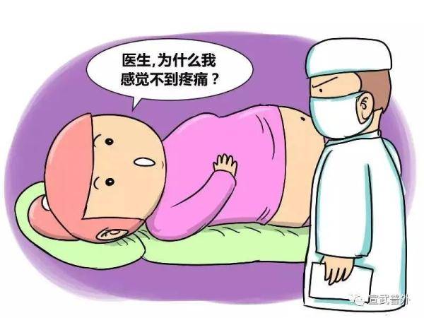 水果|小小的阑尾，也能惹出大麻烦！