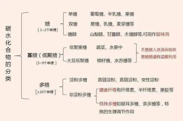 月饼的简谱_月饼简笔画(3)