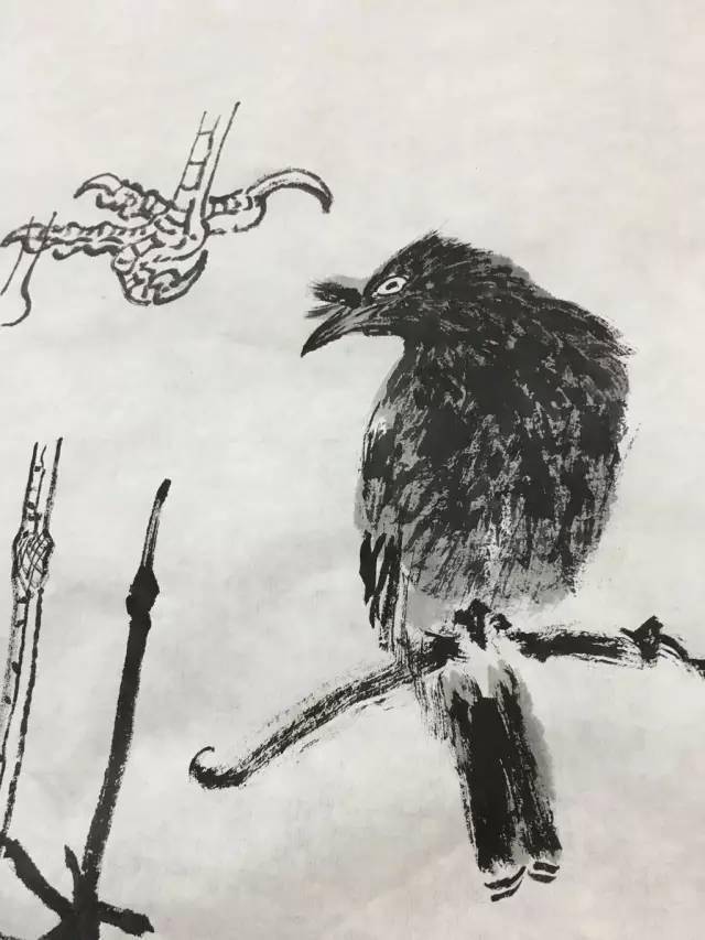 【国画教程】鸟的造型与笔墨训练