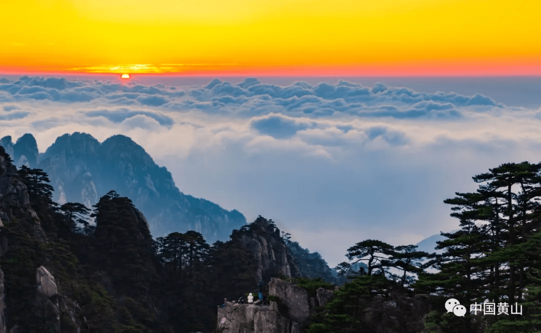 【黄山寻秋记】往届秋季美景大pk,你pick哪一组?