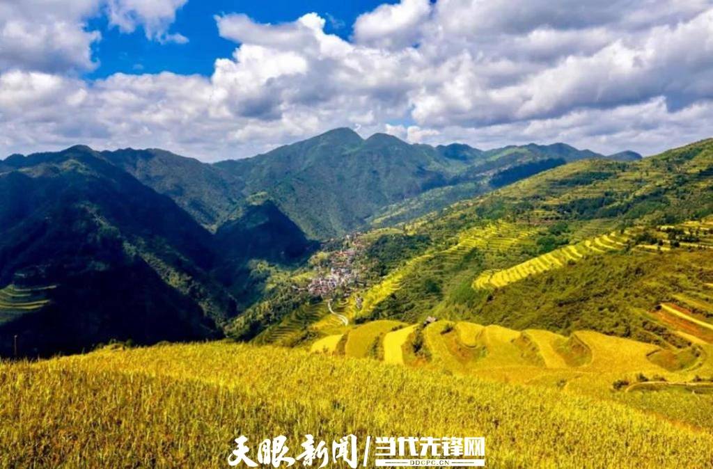 正值秋收农忙时节,9月12日,剑河县敏洞乡西部志愿者们来到该乡郎洞村