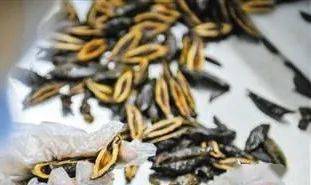 广告|吃了半年,左脸彻底溃烂:这款热门零食,正在危害6000万人的身体......