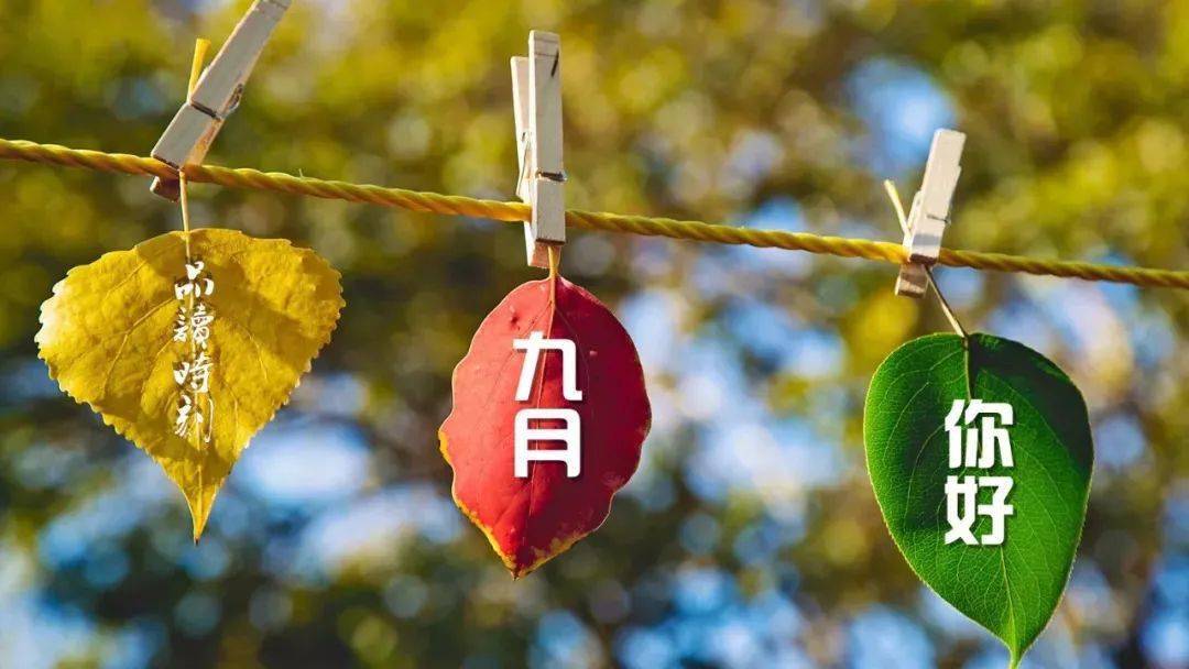 九月的英文歌 3f7a26ca8a744d02a28736d07c371fab.jpeg