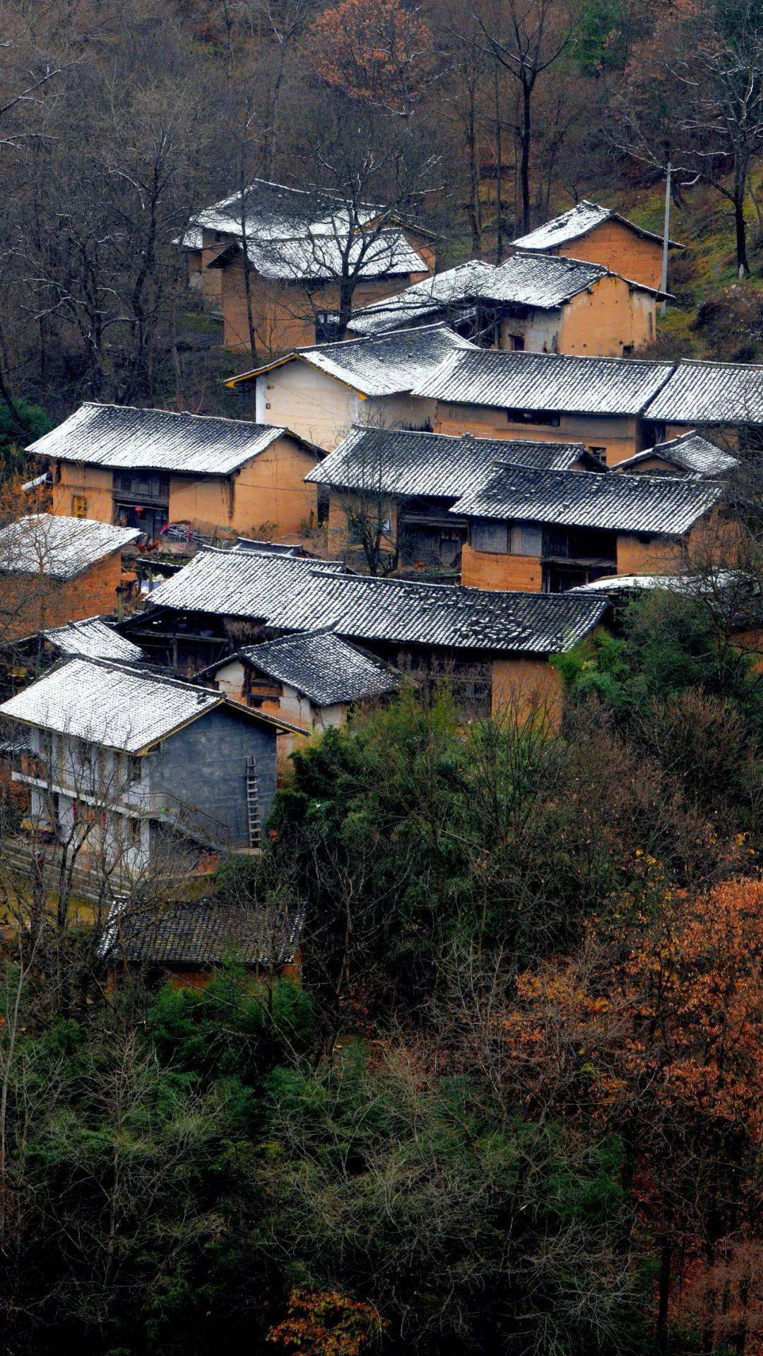 镜头下的康县乡村初秋美景