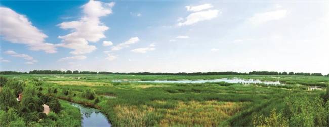 【迎旅盟·展新貌】安邦河湿地公园