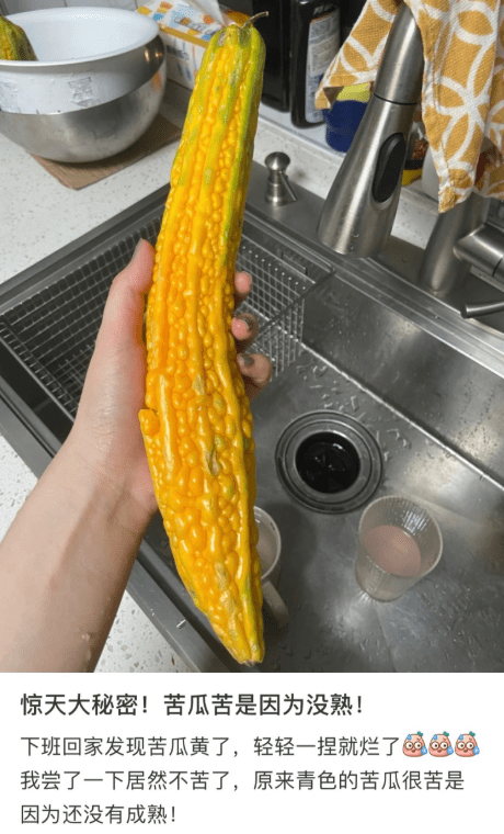 味道|原来苦瓜熟了是甜的 苦是自我保护，却偏偏遇上中国人！