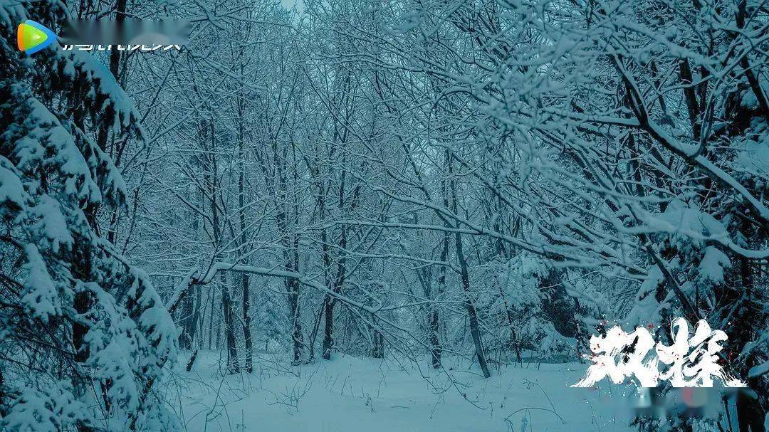 父亲|王炸牌,高水准!一集顶十集,这国剧太硬了