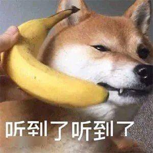 5d771c82f4364512b629c64566618968.jpeg