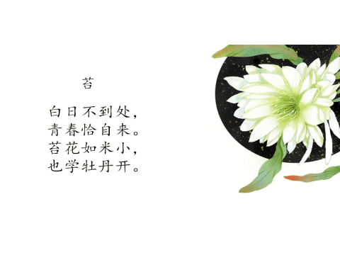 a7b63d77eeb34ae79077339f8f2500d6.png