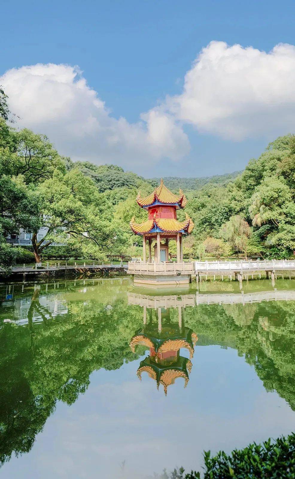 一直在你身侧陪伴你帮助你更好的适应新的校园生活报到的流程是什么?