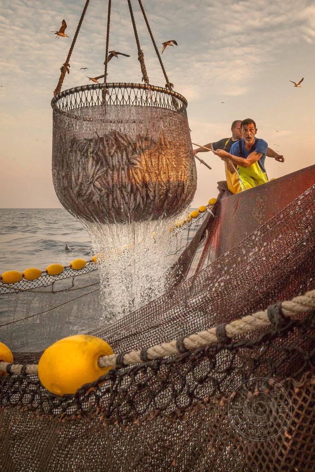 white|获奖公布 | 2021年德国CEWE摄影奖（建筑与构成组）获奖作品名单