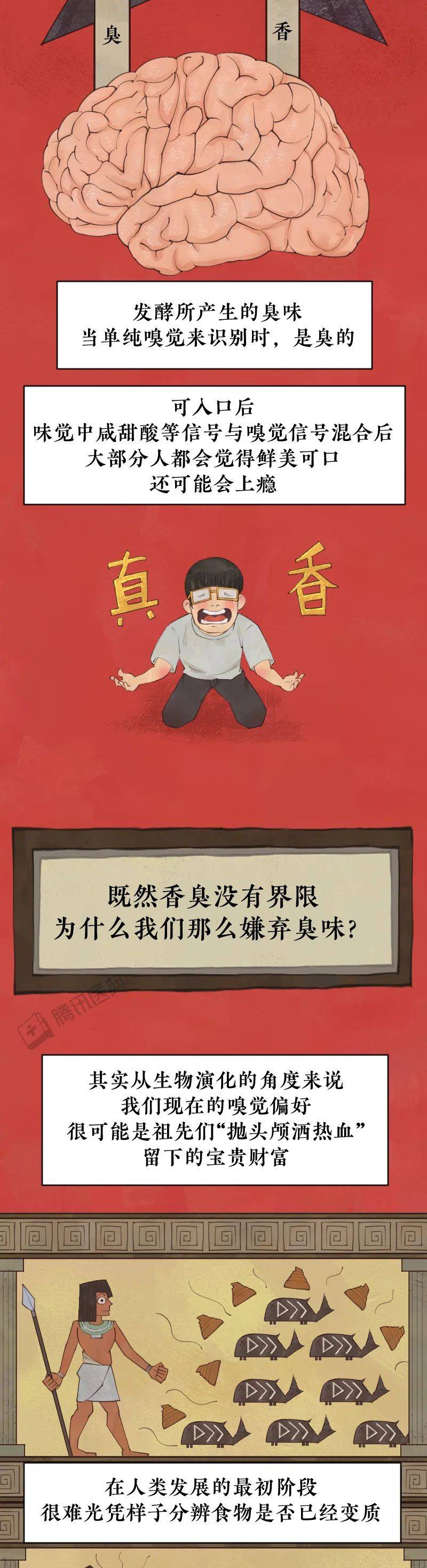 阎玉霞|那些闻起来臭烘烘的食物，为啥那么多人喜欢吃？