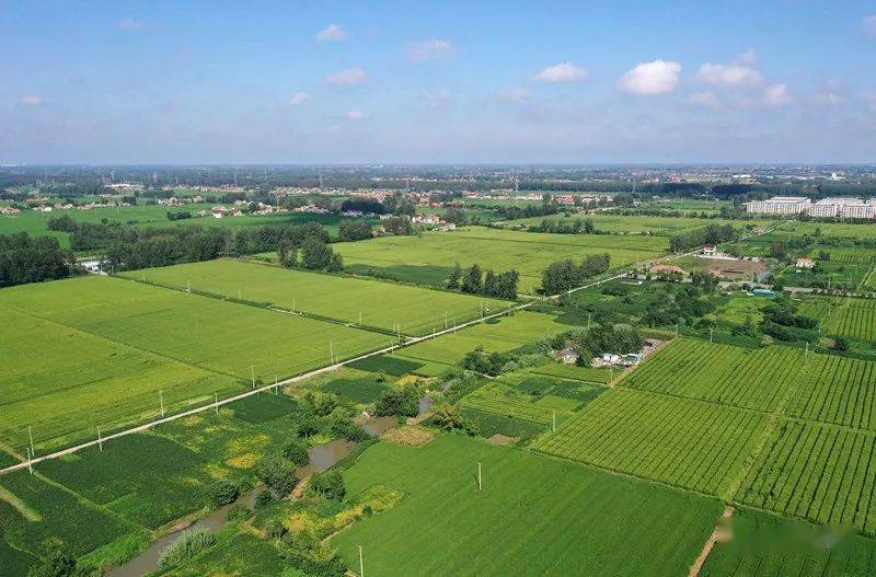 【航拍上冈】光华村,炎炎初秋,浓浓乡情_上冈镇