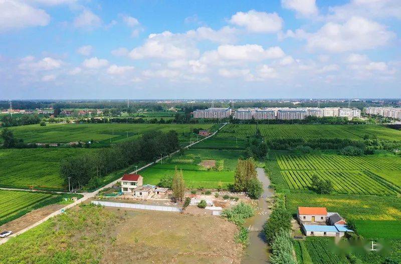 【航拍上冈】光华村,炎炎初秋,浓浓乡情_上冈镇