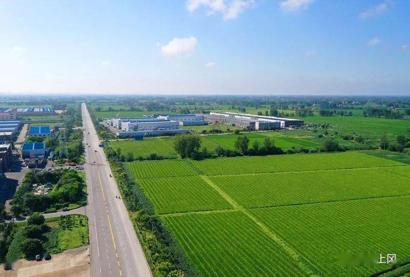 【航拍上冈】光华村,炎炎初秋,浓浓乡情_上冈镇