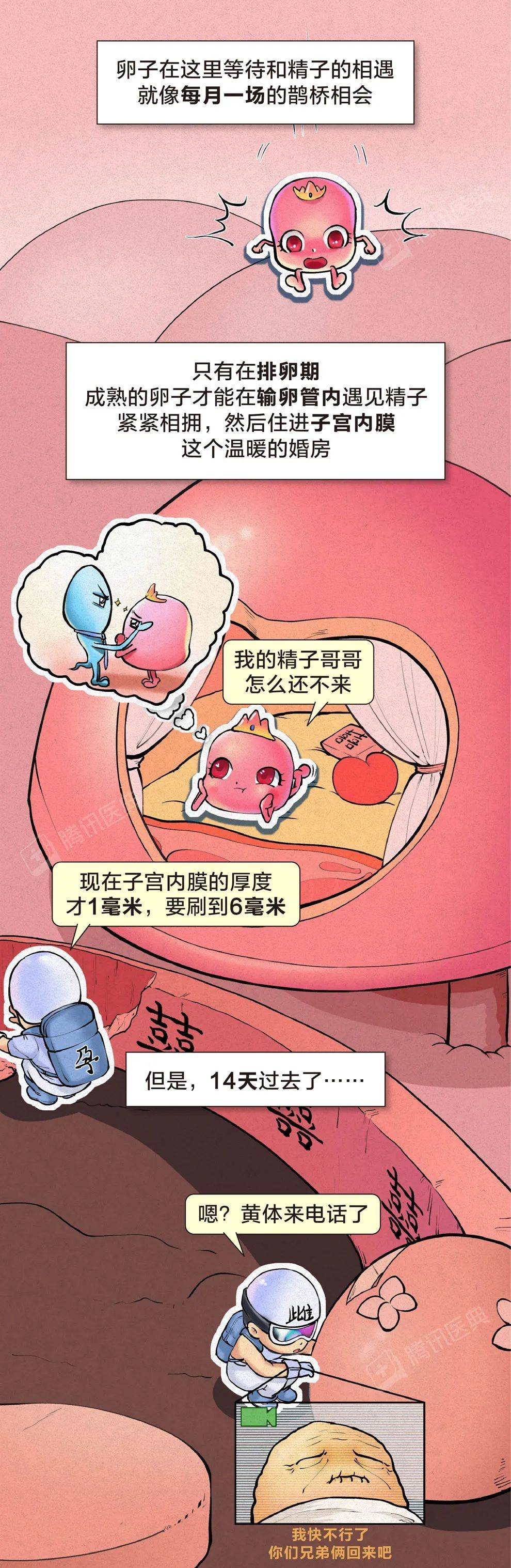 指数|生完孩子就不会痛经了？太天真