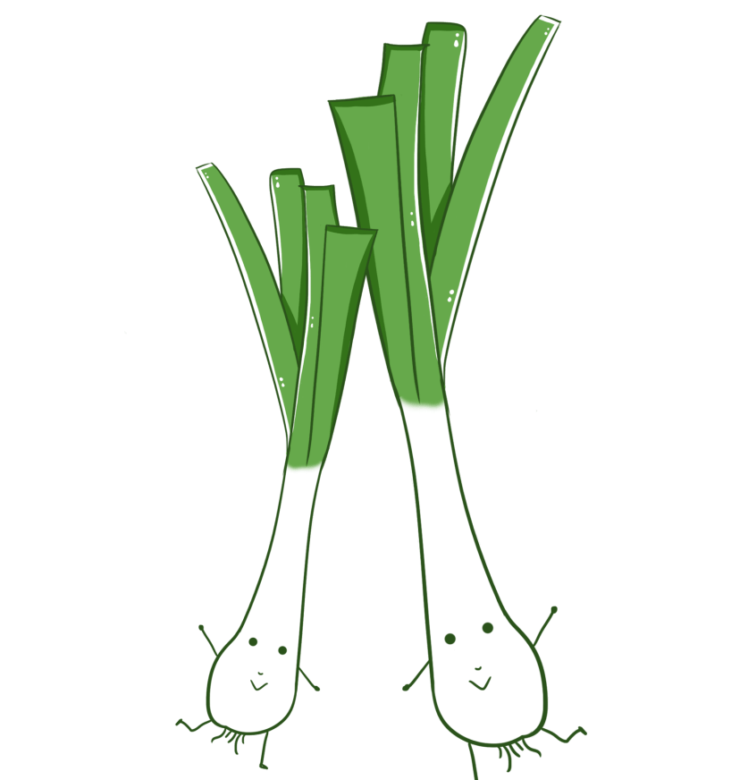 图文桃醉平谷休闲平谷61四季东高村之赵家务甜葱尝鲜季开幕啦