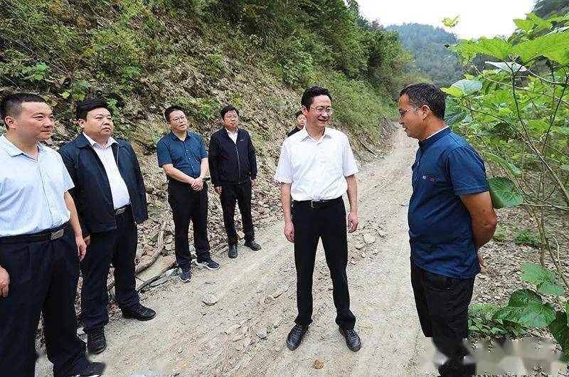 县委书记杨军深入三阳,大贵调研