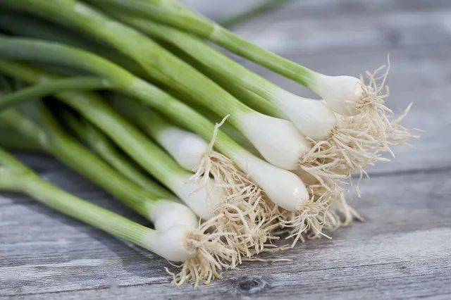 【中药小课堂】葱白