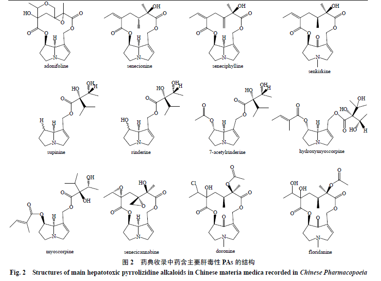 含吡咯里西啶生物碱中成药潜在风险评估