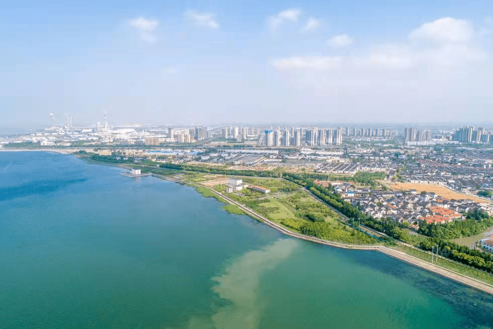 50亩粉黛刚刚绽放沿江彩色游约起