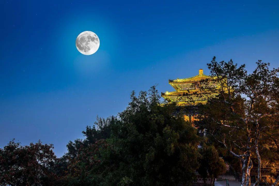 秋天最美的10个瞬间,风清露白,桂子飘香,醉了人间_桂花酒