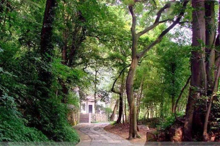 除此之外,還要在書院內建園林,引嶽麓山上的泉水流入園中,號稱