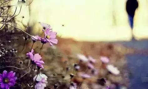 6fbc587de24d41b19031cf4f34cf97c4.jpeg