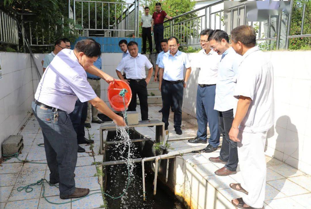 罗真一行首先来到思阳镇广元村红新屯,调研乡村风貌
