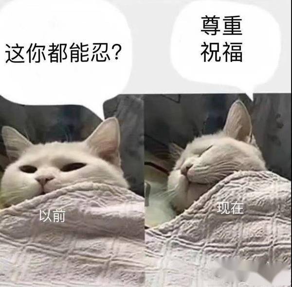 行径|隔壁老樊被爆渣男行径，李莎旻子知情还能爱下去？这是顶级恋爱脑！