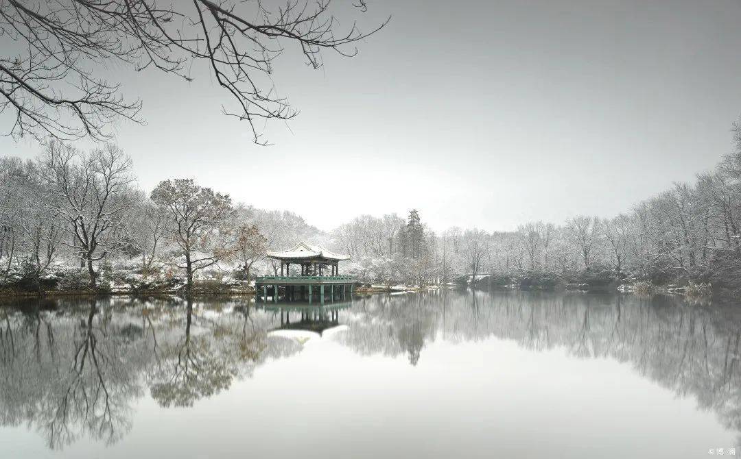 南京活动|品鉴,中画幅的极致魅力