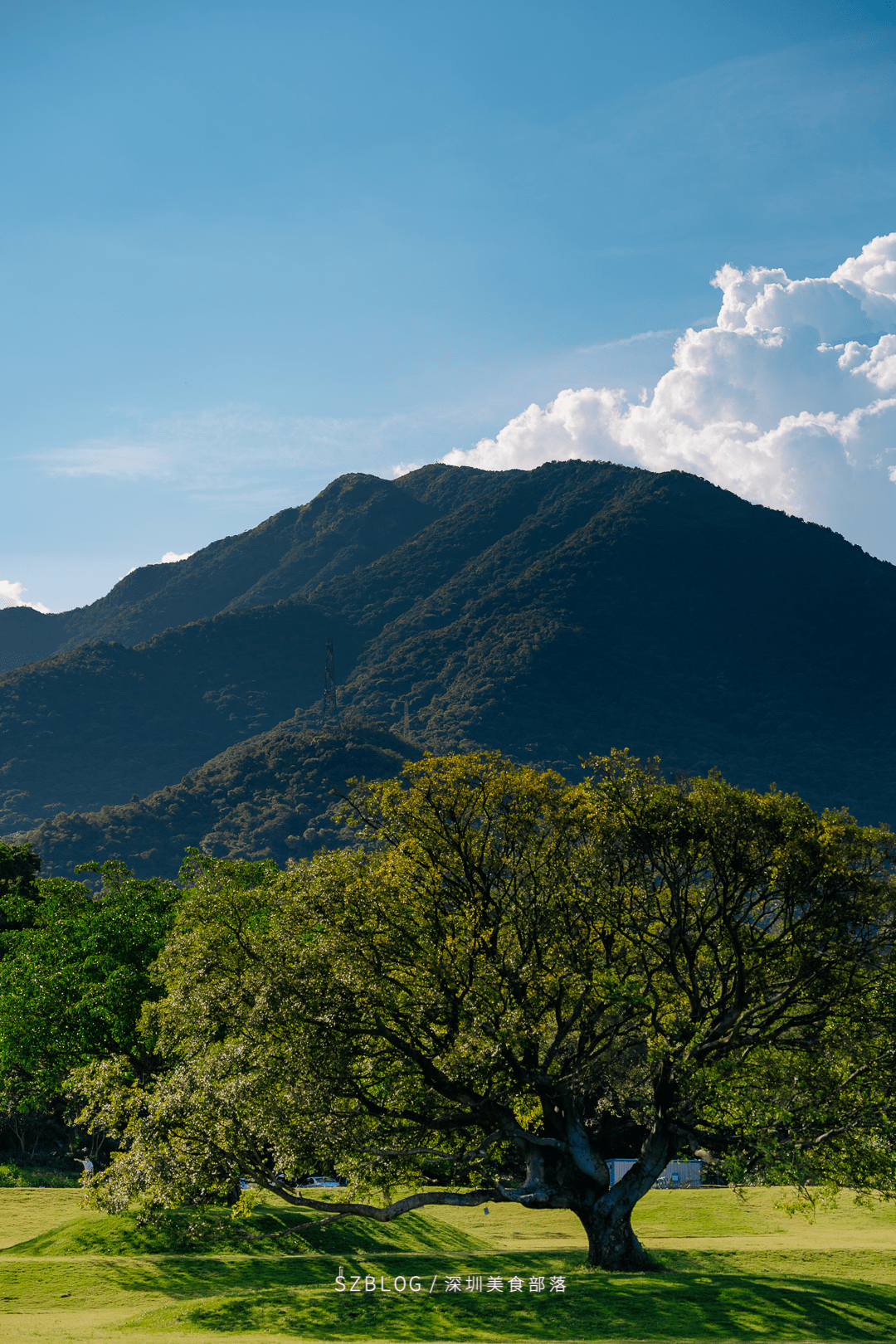 小红书第5次向我推送它后我还是来了