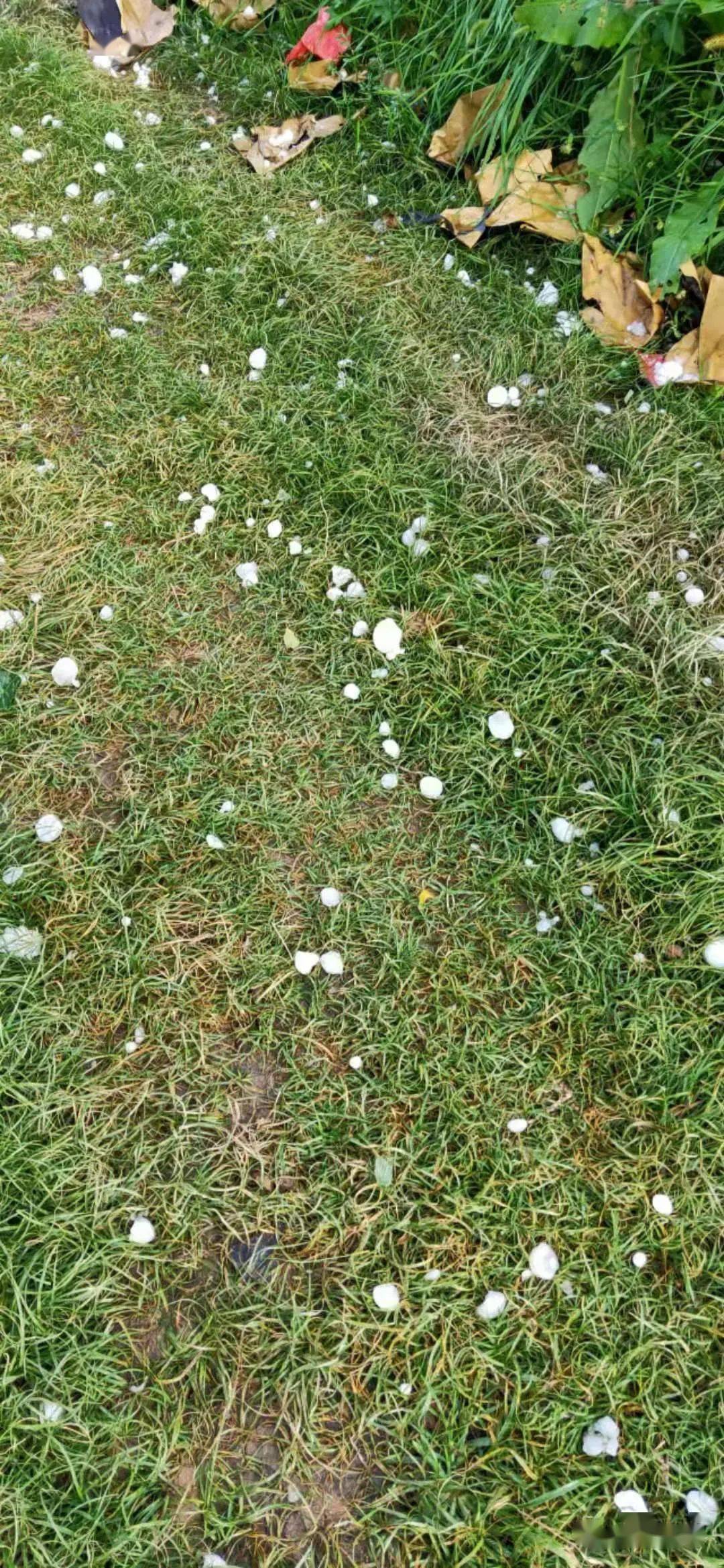 陕西冰雹图片