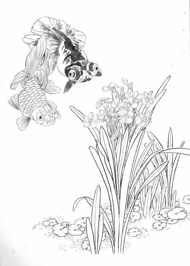工笔画线描花鸟画谱:金鱼篇