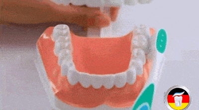 家长|每天刷牙两次的上海成人仅六成，3岁娃近半乳牙都蛀了！护牙宝典收好