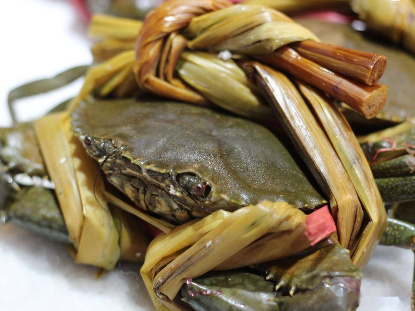 螃蟹为什么都要捆起来?难道真是为了增重?海鲜老板:一看就外行