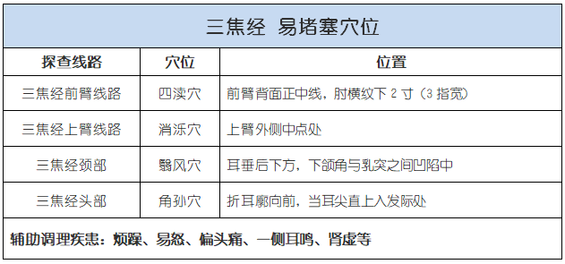 十二條經絡循行線路(乾貨收藏文)_三焦