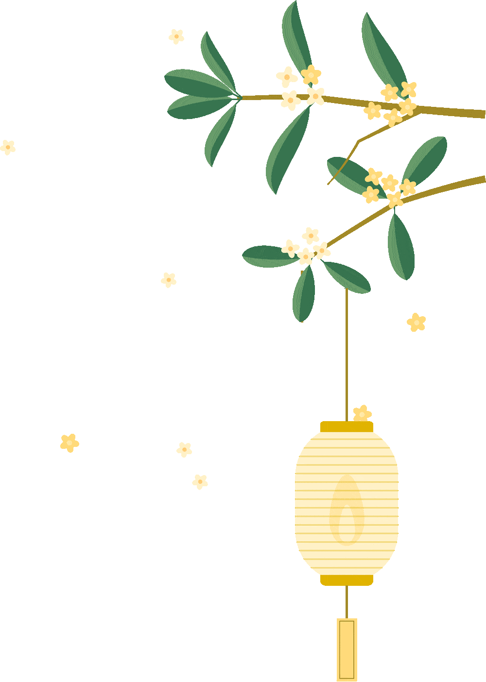中秋节自古便有祭月,赏月,拜月,吃月饼,赏桂花,饮桂花酒等习俗,流传