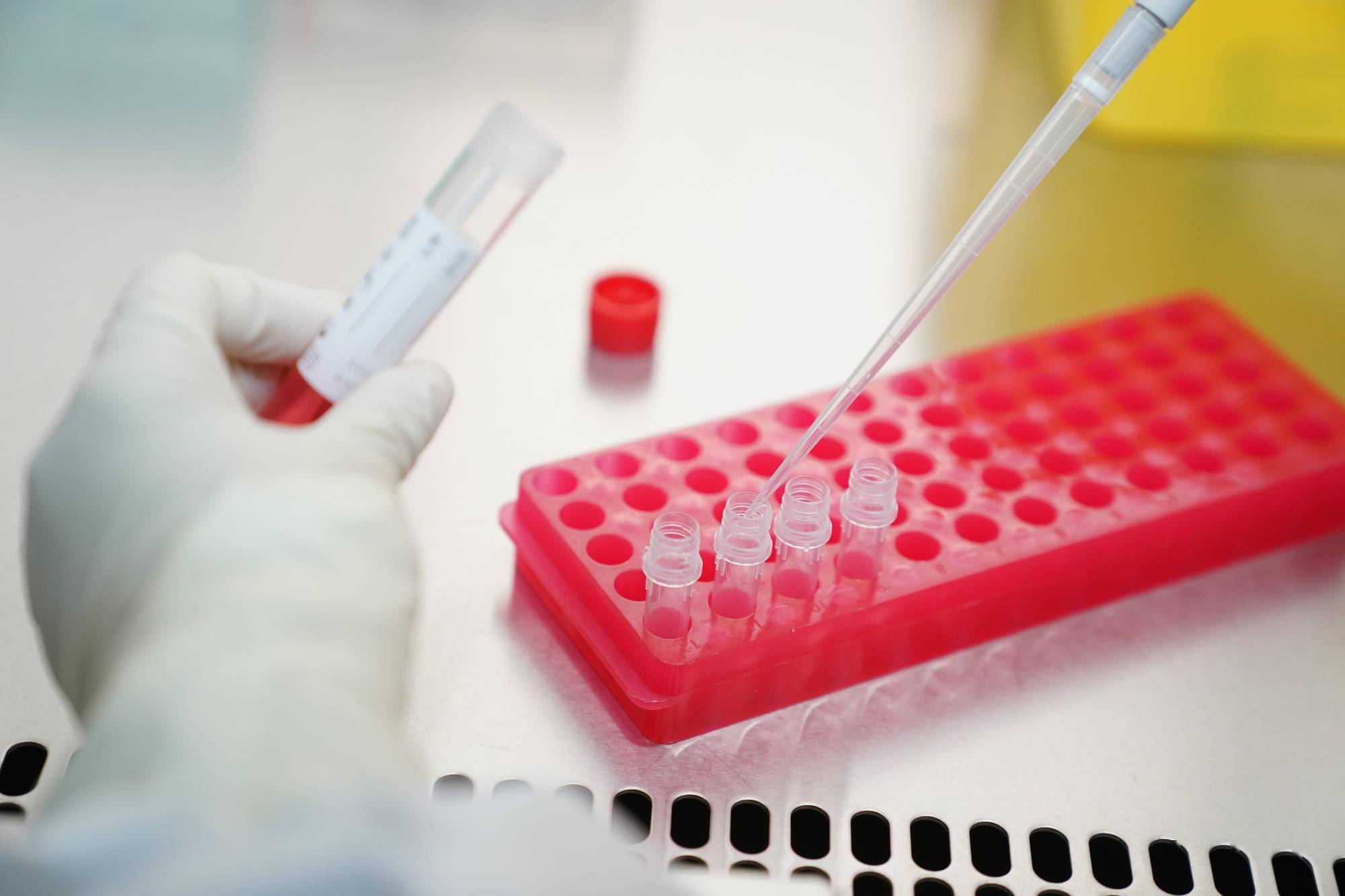 哈尔滨|暂停营业！停止聚集！哈尔滨发布公告：非必要不离哈