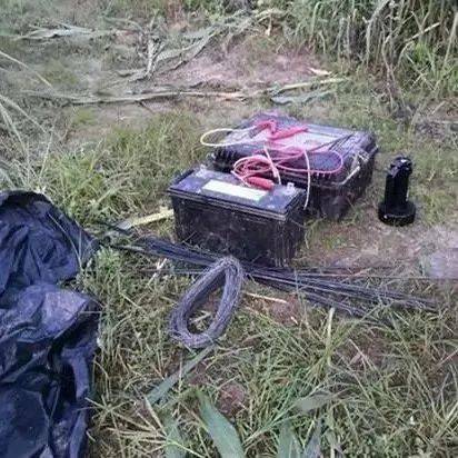 陕西:防野猪私设电网!电死同村村民…_赔偿