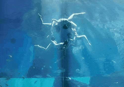 1d4dcf1d5afb422e88b655ac2624d134.gif