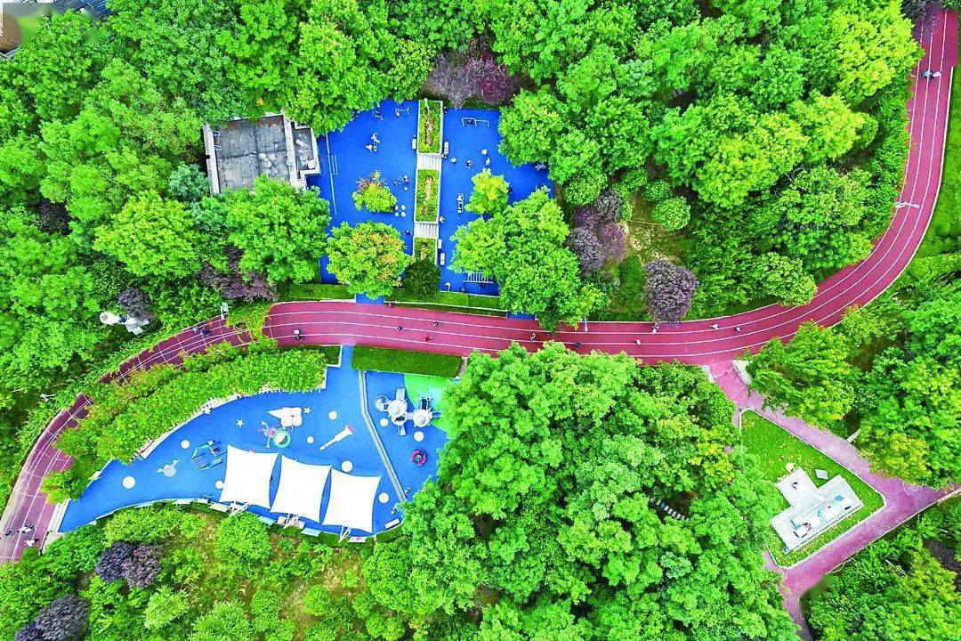 還有隨處可見的街心公園,城市小遊園,以及正在建設的堯夢湖公園等