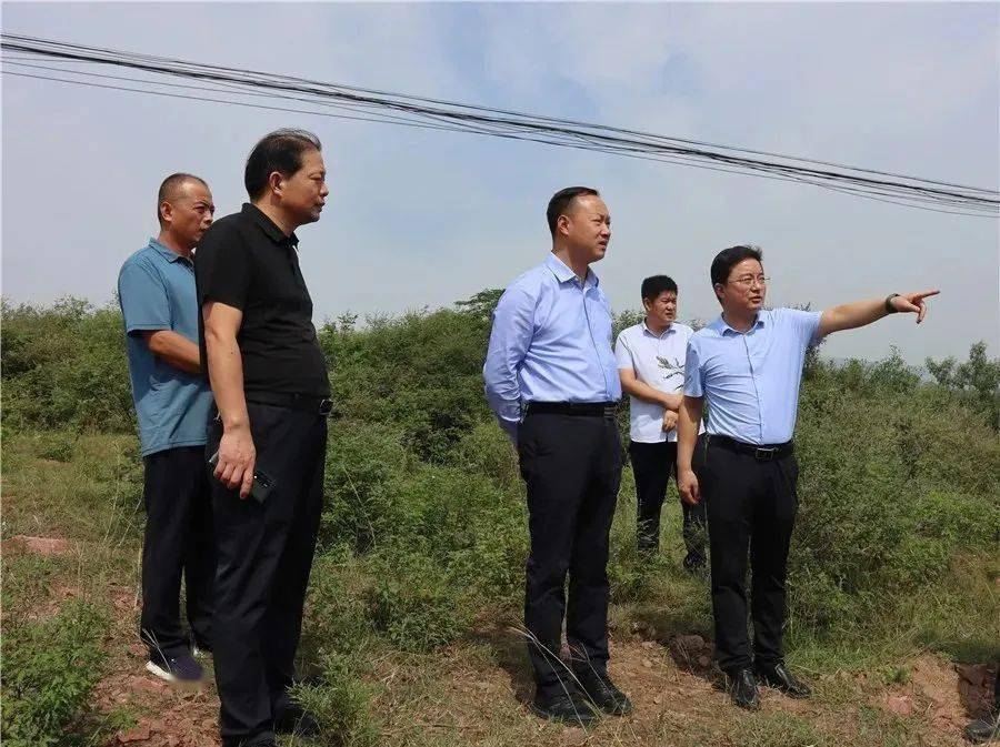 67县委书记王景育检查督导矿区生态修复,砂石资源保护工作_郏县