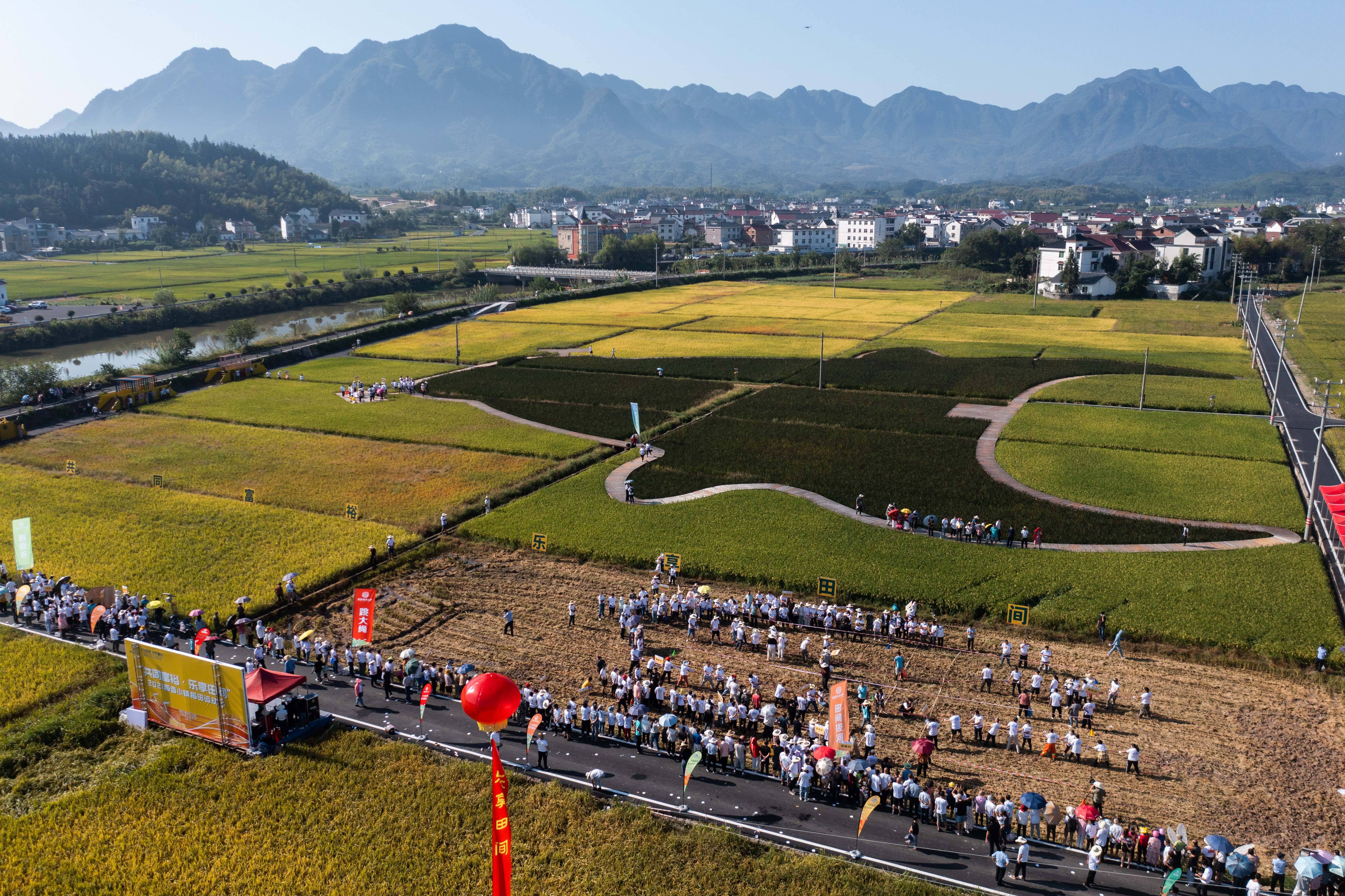 9月22日拍摄的大同镇的稻田赛场