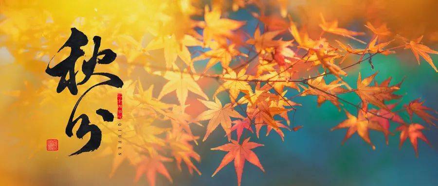 秋分|节气养生 | 秋分：秋冻有节 及时加衣