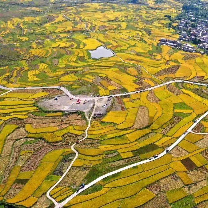 秋分至!最新全国入秋进程图来了_华北