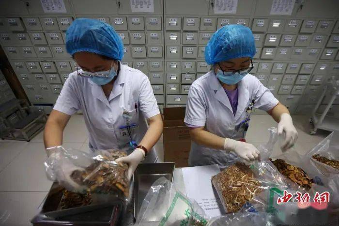希腊|东西问 | 希腊科学家艾维他：为何说传统中药对现代药物研发是一座宝库？